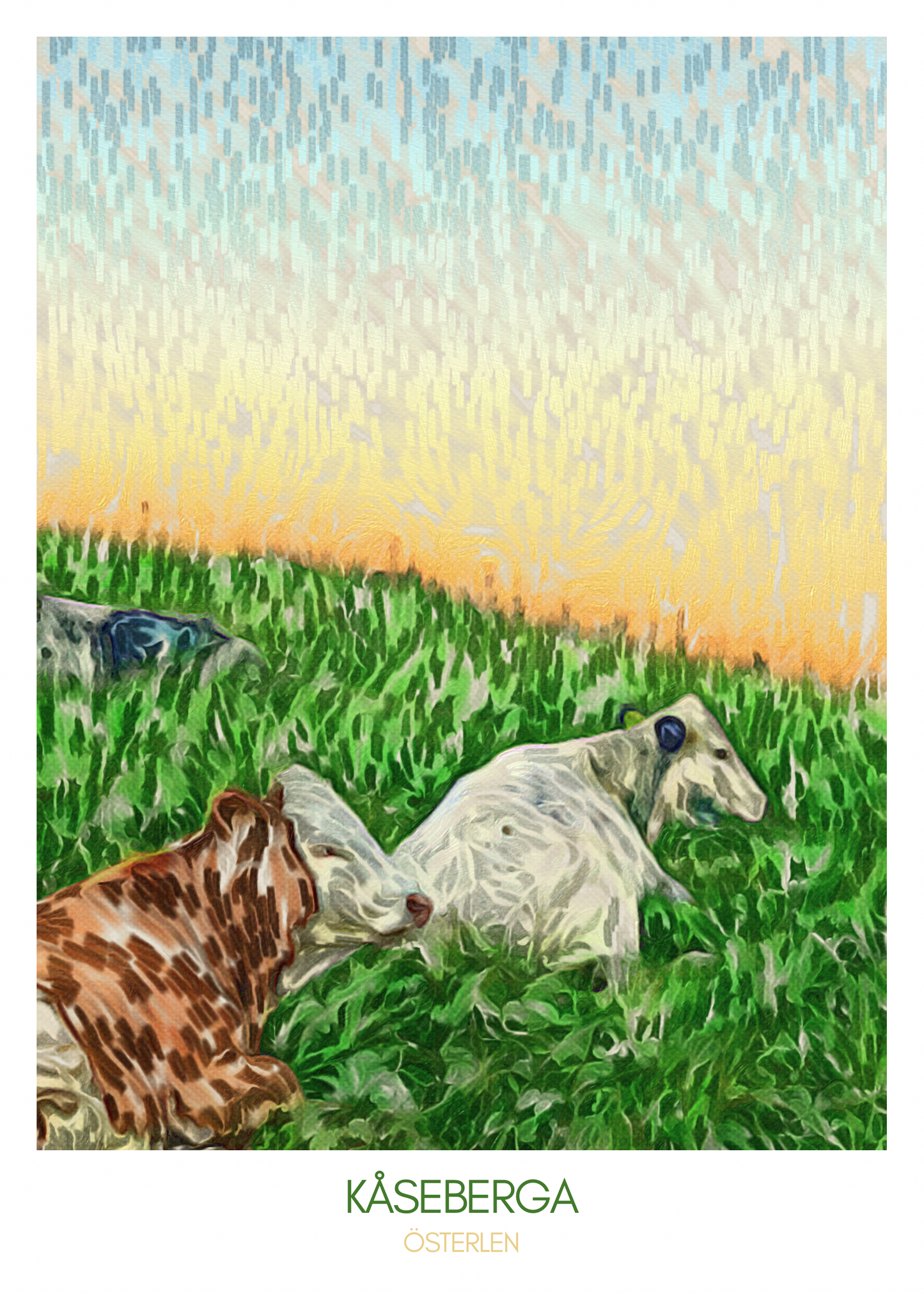 Två kor som ligger i gräset i Kåseberga, Österlen, med en dramatisk himmel i bakgrunden - färgrik poster.